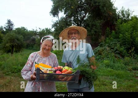 Heureux couple de personnes âgées avec la riche récolte de cette année. Agriculture, jardinage, agriculture, récolte et concept de personnes Banque D'Images