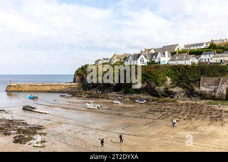 Port Isaac Cornwall, chalets de village blanchi à la chaux surplombant le port de Port Isaac, Angleterre, Royaume-Uni, septembre 2023 Banque D'Images