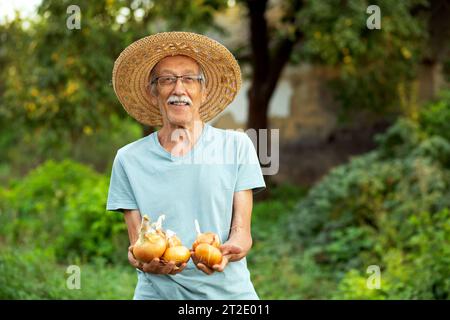 Mains des agriculteurs avec de l'oignon fraîchement récolté. Aliments sains naturels verts biologiques. Mains de femme tenant l'oignon. Mise au point sélective. Homme âgé âgé Banque D'Images