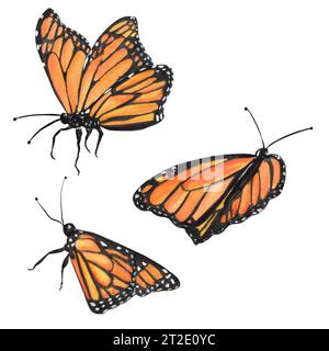 Illustration à l'aquarelle dessinée à la main. Trois papillons Monarch pour tous les travaux de conception Banque D'Images