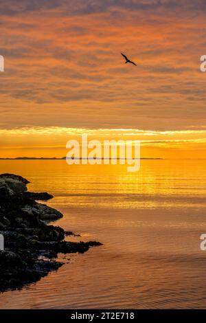 Coucher de soleil sur la mer depuis l'île de Mull, Écosse, Royaume-Uni Banque D'Images
