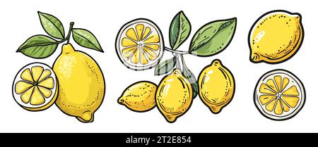 Ensemble vectoriel de citrons abstraits dessinés à la main isolé. Illustration de Vecteur