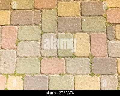Texture de beaux carreaux de briques de pavage en béton en pierre rectangulaires multicolores avec des coutures recouvertes d'herbe verte. L'arrière-plan. Banque D'Images