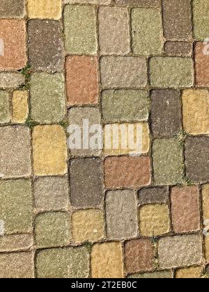 Texture de beaux carreaux de briques de pavage en béton en pierre rectangulaires multicolores avec des coutures recouvertes d'herbe verte. L'arrière-plan. Banque D'Images