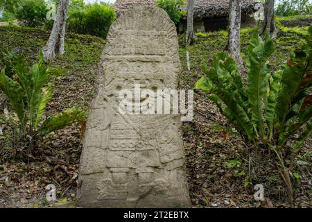 Stèle 11 sur la Plaza B dans les ruines mayas dans le parc national de Yaxha-Nakun-Naranjo, Guatemala. Banque D'Images