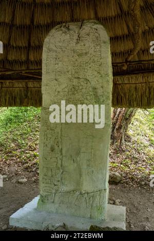 Stèle 13 sur la Plaza A des ruines mayas dans le parc national de Yaxha-Nakun-Naranjo, Guatemala. Banque D'Images