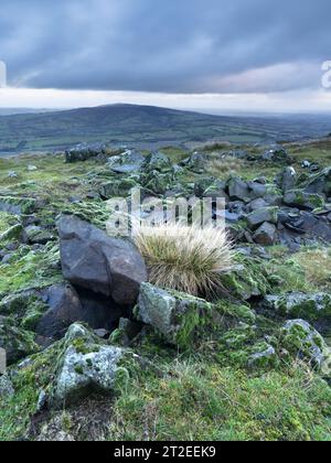 Le sommet de Titterstone Clee Hill près de Ludlow dans le Shropshire rural, Angleterre, Royaume-Uni Banque D'Images