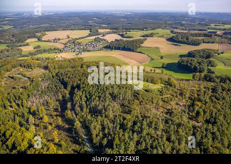 Luftbild, Aussichtsturm Ebberg im Waldgebiet mit Waldschäden, Eisborn, Balve, Sauerland, Rhénanie-du-Nord-Westphalie, Deutschland ACHTUNGxMINDESTHONORARx60xEURO *** vue aérienne, tour d'observation d'Ebberg dans une zone forestière endommagée, Eisborn, Balve, Sauerland, Rhénanie du Nord Westphalie, Allemagne ATTENTIONxMINESTHONORARx60xEURO crédit : Imago/Alamy Live News Banque D'Images