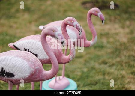 Figurines décoratives de flamants roses pour les fêtes de jardin Banque D'Images