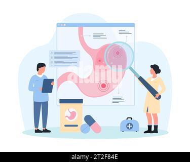 Etude de l'illustration vectorielle des maladies de l'estomac. Dessins animés médecins minuscules avec loupe recherche graphique gastrique infographique, les gens analysant les symptômes d'avertissement pour le diagnostic et la thérapie médicale Illustration de Vecteur