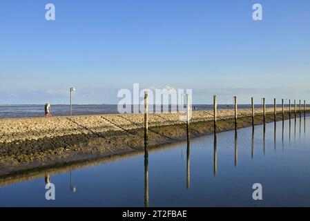 Jetée et dauphins à la marina de Juist, île de Frise orientale, Frise orientale, Basse-Saxe, Allemagne Banque D'Images