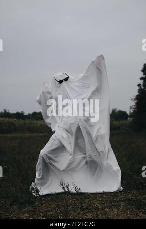 Costume créatif Halloween pour un adulte. Un fantôme d'un drap blanc avec des lunettes de soleil noires dansant dans un champ d'automne. Concept Trick or Treat. Banque D'Images