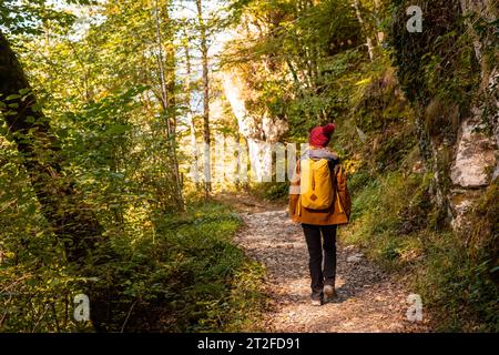 Chemin vers le pont suspendu de Holtzarte, Larrau. Dans la forêt ou jungle d'Irati, Pyrénées-Atlantiques de France Banque D'Images