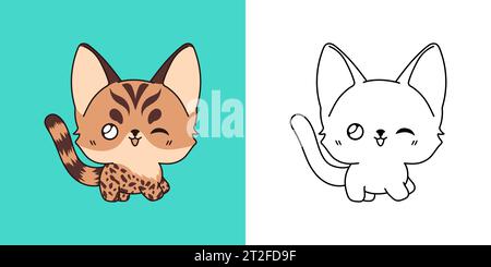 Set Vector Bengal Cat multicolore et Noir et blanc. Kawaii clip Art Baby Kitty. Illustration de Vecteur