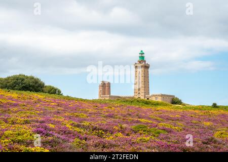 Fleurs jaunes et roses en été à Phare du Cap Fréhel est un phare maritime à cotes-dÂ Armor France . À la pointe du Cap Fréhel Banque D'Images