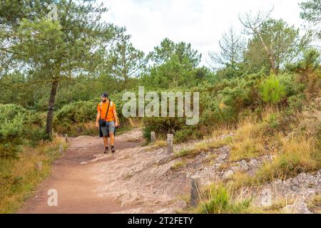 Un jeune homme sur le sentier de la forêt de Brocéliande, forêt mystique française située dans le département d'Ille-et-Vilaine, Bretagne, près de Rennes. France Banque D'Images