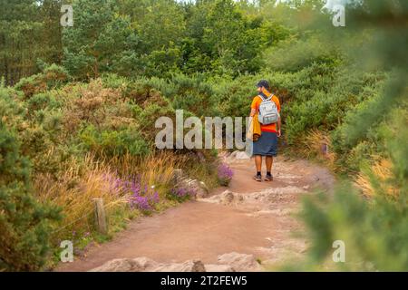 Un jeune homme sur le sentier de la forêt de Brocéliande, forêt mystique française située dans le département d'Ille-et-Vilaine, Bretagne, près de Rennes. France Banque D'Images