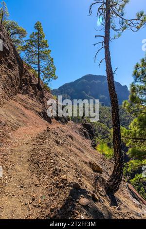 Un jeune homme marchant sur le trek au sommet de la Cumbrecita à côté des montagnes de la Caldera de Taburiente, île de la Palma, îles Canaries, Espagne Banque D'Images