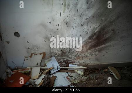 NIR Oz, Israël. 19 octobre 2023. Vue sur la dévastation causée par les militants islamistes du Hamas sur le kibboutz NIR Oz. Crédit : Ilia Yefimovich/dpa/Alamy Live News Banque D'Images