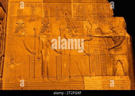 Dessins égyptiens et hiéroglyphes au temple de Kom Ombo, le temple dédié aux dieux Sobek et Horus. Dans la ville de Kom Ombo près d'Aswer Banque D'Images