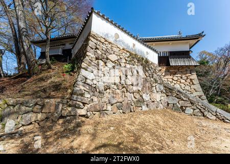 Dobei parapet en plâtre blanc sur les murs de pierre Ishigaki gardant l'entrée du Honmaru, la cour intérieure et le donjon du château Bitchu Matsuyama. Banque D'Images