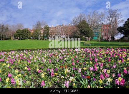 Dublin avec des fleurs printanières, Merrion Square Park Banque D'Images