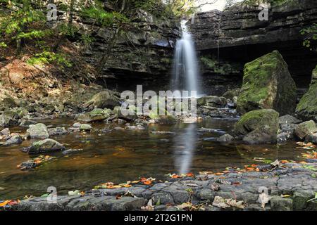 Summerhill Force au début de l'automne, Bowles, Teesdale, comté de Durham, Royaume-Uni Banque D'Images