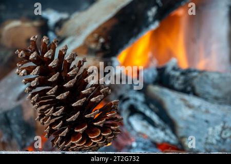 Pomme de pin sur un fond de bois de chauffage brûlant. Banque D'Images