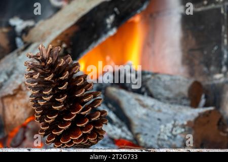 Pomme de pin sur un fond de bois de chauffage brûlant. Banque D'Images