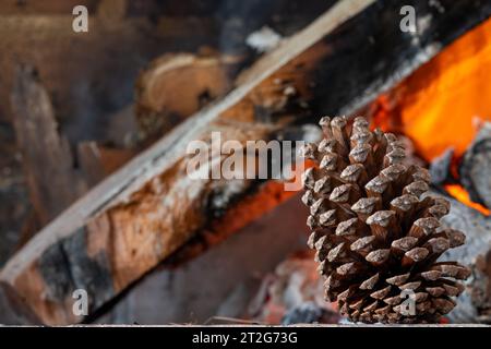 Pomme de pin sur un fond de bois de chauffage brûlant. Banque D'Images