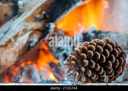 Pomme de pin sur un fond de bois de chauffage brûlant. Banque D'Images