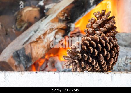 Pomme de pin sur un fond de bois de chauffage brûlant. Banque D'Images