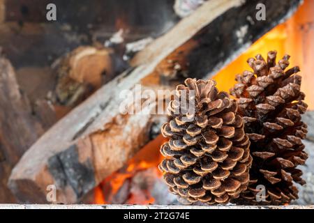 Pomme de pin sur un fond de bois de chauffage brûlant. Banque D'Images