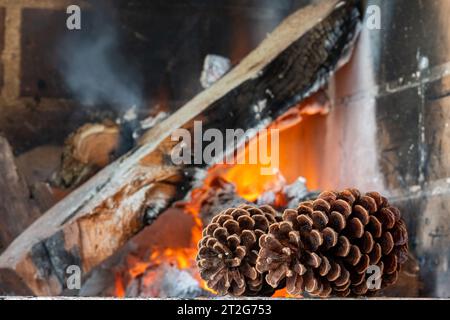 Pomme de pin sur un fond de bois de chauffage brûlant. Banque D'Images