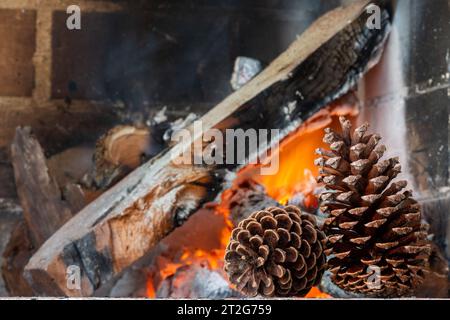 Pomme de pin sur un fond de bois de chauffage brûlant. Banque D'Images