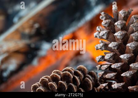 Pomme de pin sur un fond de bois de chauffage brûlant. Banque D'Images