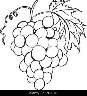 Contour de raisin dessiné à la main. Vigne de vin gros plan, feuilles, baies. Clip art noir et blanc isolé sur fond blanc. Livre de coloriage antique i Illustration de Vecteur