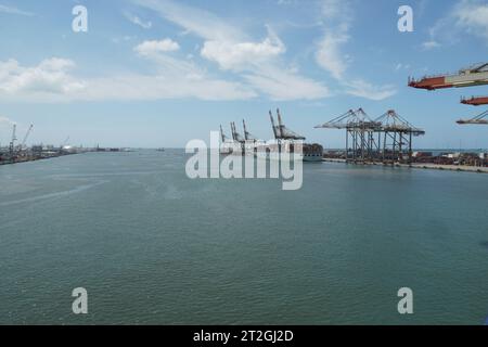 Port de Kingston avec d'énormes navires porte-conteneurs sous des grues portiques pendant l'opération de cargaison. Banque D'Images