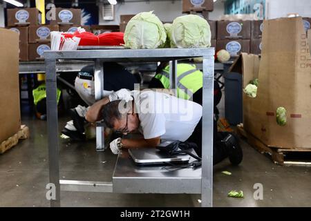 Los Angeles, États-Unis. 19 octobre 2023. Les gens font une descente, une couverture et une attente sur l'exercice tremblement de terre à la Banque alimentaire régionale de Los Angeles, Californie, États-Unis, le 19 octobre 2023. Un exercice annuel de tremblement de terre a eu lieu à travers les États-Unis jeudi, dans le but d'aider les gens à mieux se protéger pendant les tremblements de terre. Crédit : Xinhua/Alamy Live News Banque D'Images