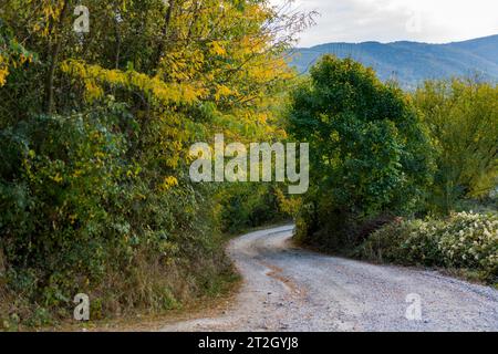 Une route sinueuse de village de gravier avec des arbres et des buissons sur les côtés, affichant des couleurs d'automne à l'arrivée de l'automne. Un beau paysage rural Banque D'Images