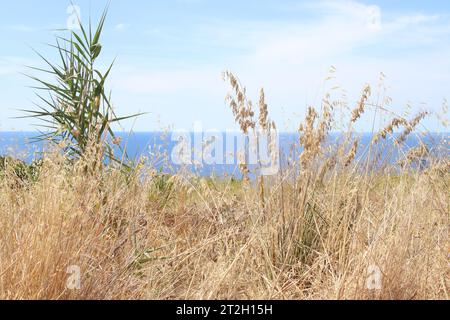 Paysage. Vue panoramique sur Diamante. Calabre. Italie. Banque D'Images