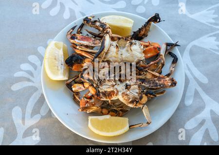 Assiette de crabe bleu cuit (Callinectes sapidus) en Turquie. Banque D'Images