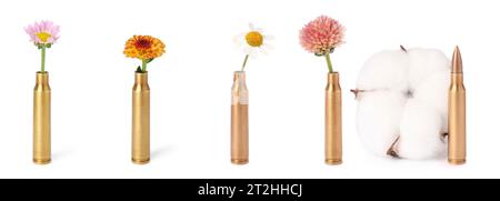 Ensemble de balles et de belles fleurs isolées sur blanc Banque D'Images