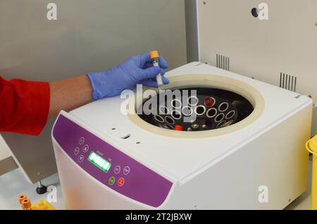 les tubes sont placés dans l'analyseur pour la centrifugation. réalisation des examens de laboratoire, examen du sang veineux dans un appareillage spécial. le docteur met un Banque D'Images