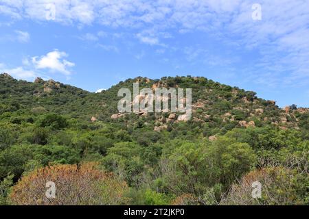 la zone de randonnée montagneuse autour de cardedu en sardaigne Banque D'Images