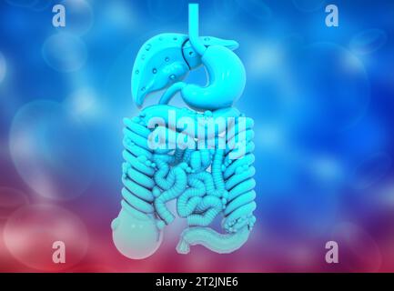 Organes internes humains sur fond bleu. illustration 3d. Banque D'Images