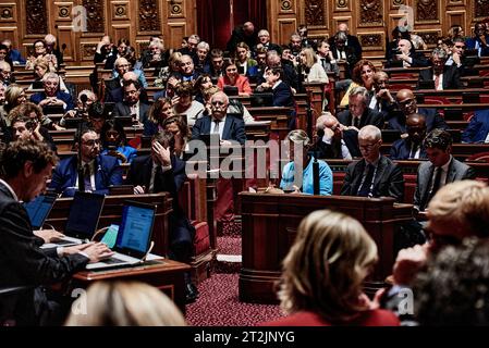 Paris, France. 18 octobre 2023. Antonin Burat/le Pictorium - séance de questions au gouvernement du 18 octobre 2023 au Sénat français - 18/10/2023 - France/Ile-de-France (région)/Paris - séance de questions au gouvernement du 18 octobre 2023 au Sénat français. Crédit : LE PICTORIUM/Alamy Live News Banque D'Images