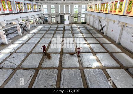 SUQIAN, CHINE - 20 OCTOBRE 2023 - des travailleurs travaillent dans un atelier de brassage dans une cave à Suqian, province du Jiangsu, Chine, le 20 octobre 2023. Banque D'Images