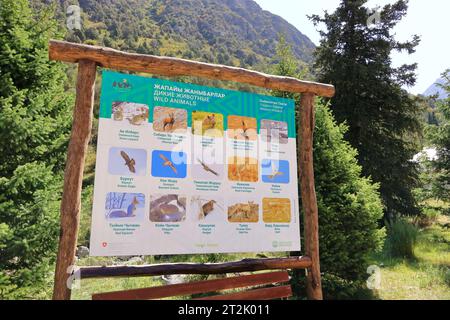 Août 19 2023 - Parc national d'Ala Archa, Kirghizistan en Asie centrale : Alplager dans le Parc national d'Ala Archa Banque D'Images