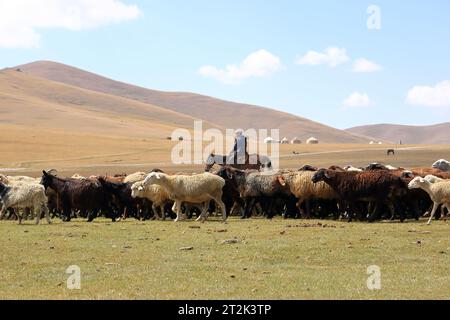 Août 23 2023 - lac Song kol au Kirghizistan : les nomades vivent leur vie ordinaire sur les pâturages d'été Banque D'Images